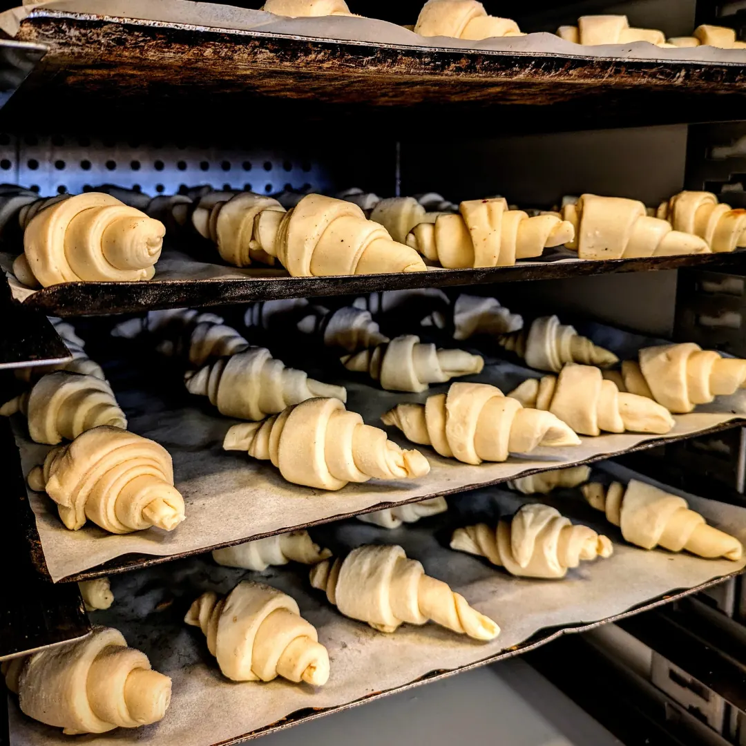 Chambre froide et vitrines réfrigérées, La Petite Boulangerie Notre Dame à Bordeaux, réalisation Tempera, photo 3