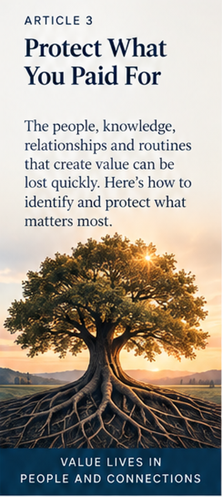 An experienced expert transfers critical knowledge into records, practised substitutes and a wider organisational network, illustrating how an acquirer can protect valuable capability without preserving dependency on one person.