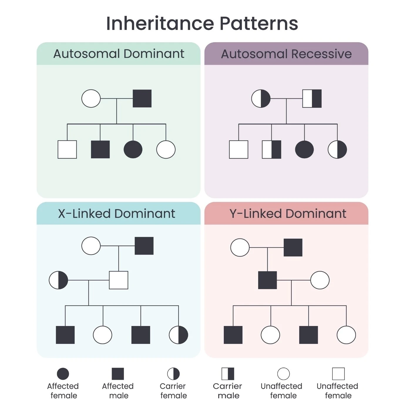 Inheritance Patterns