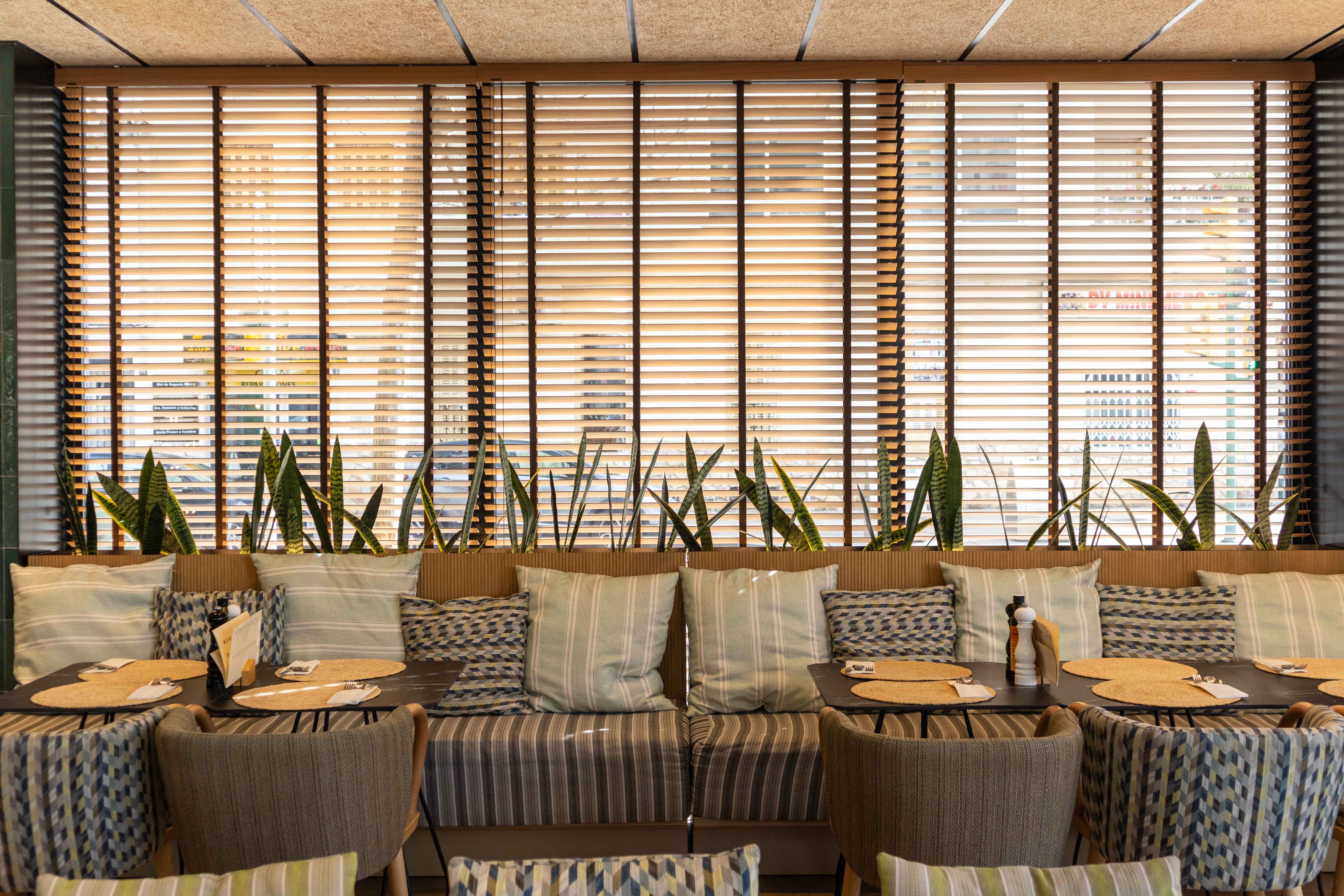 JS Palma Suite 