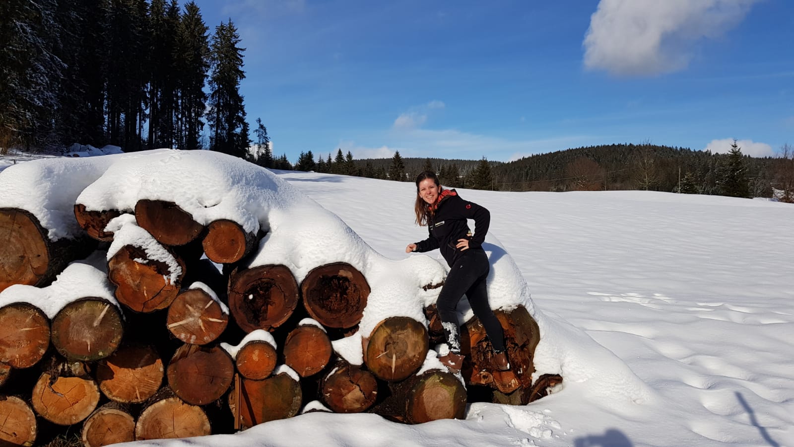 Akquise-Tour quer durch den Schwarzwald! 3465