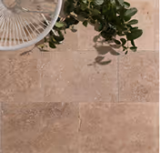 Brown stone tile floor with a white chair and green leafy plant casting shadows on it.