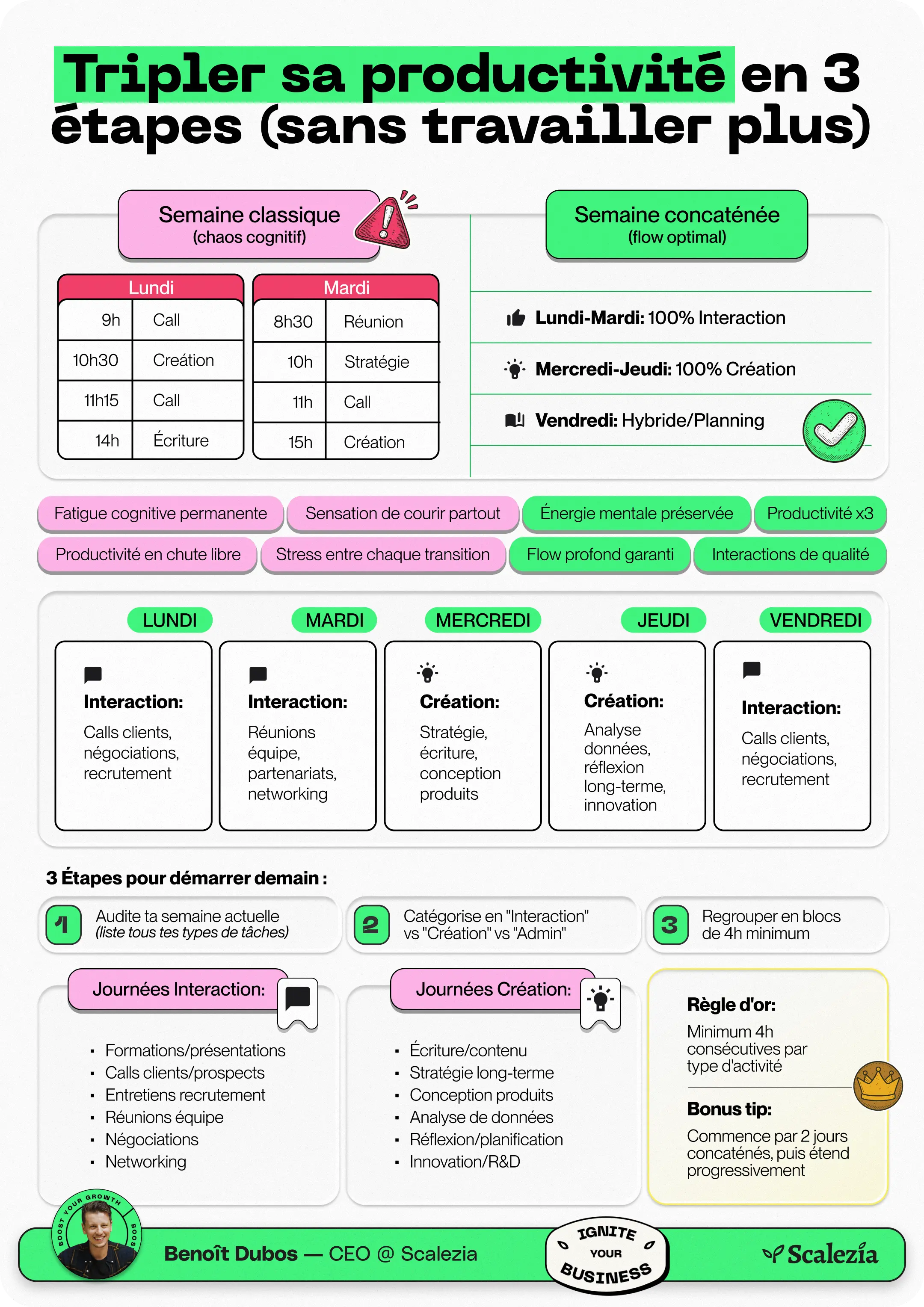 Infographic Showcase 