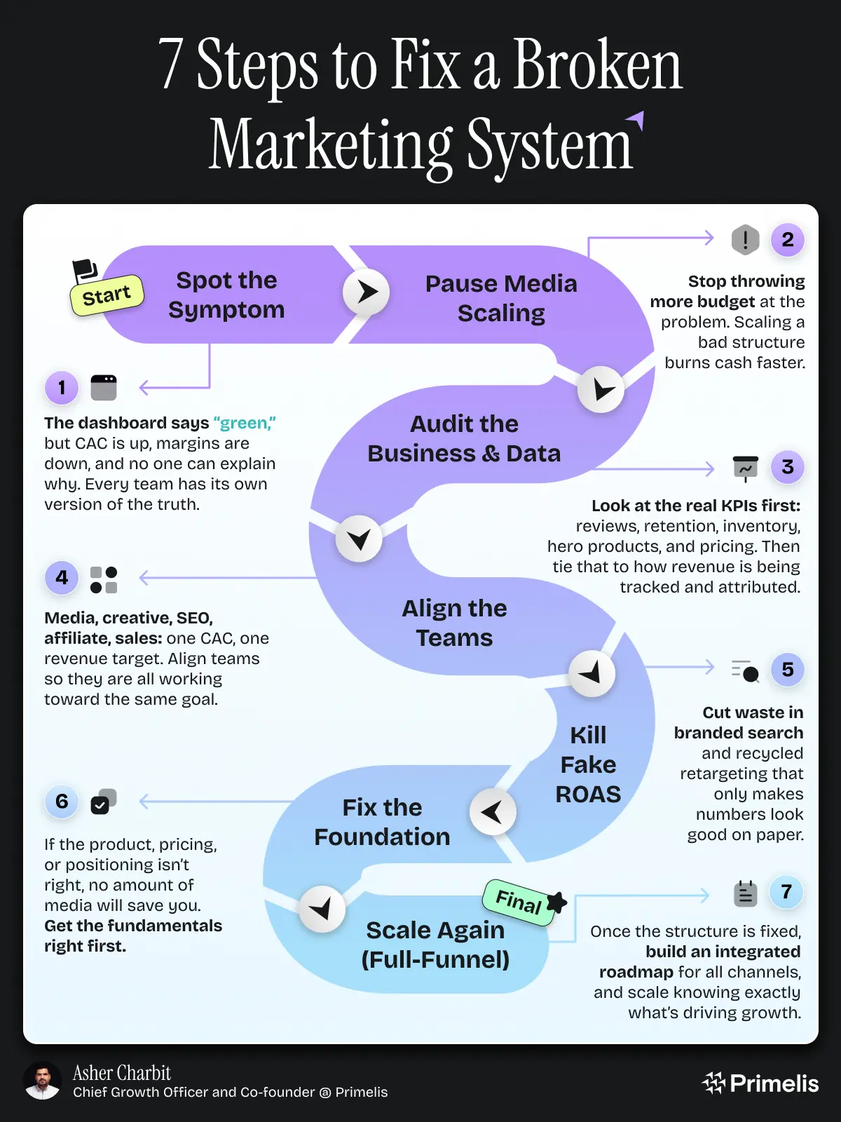Infographic Showcase 