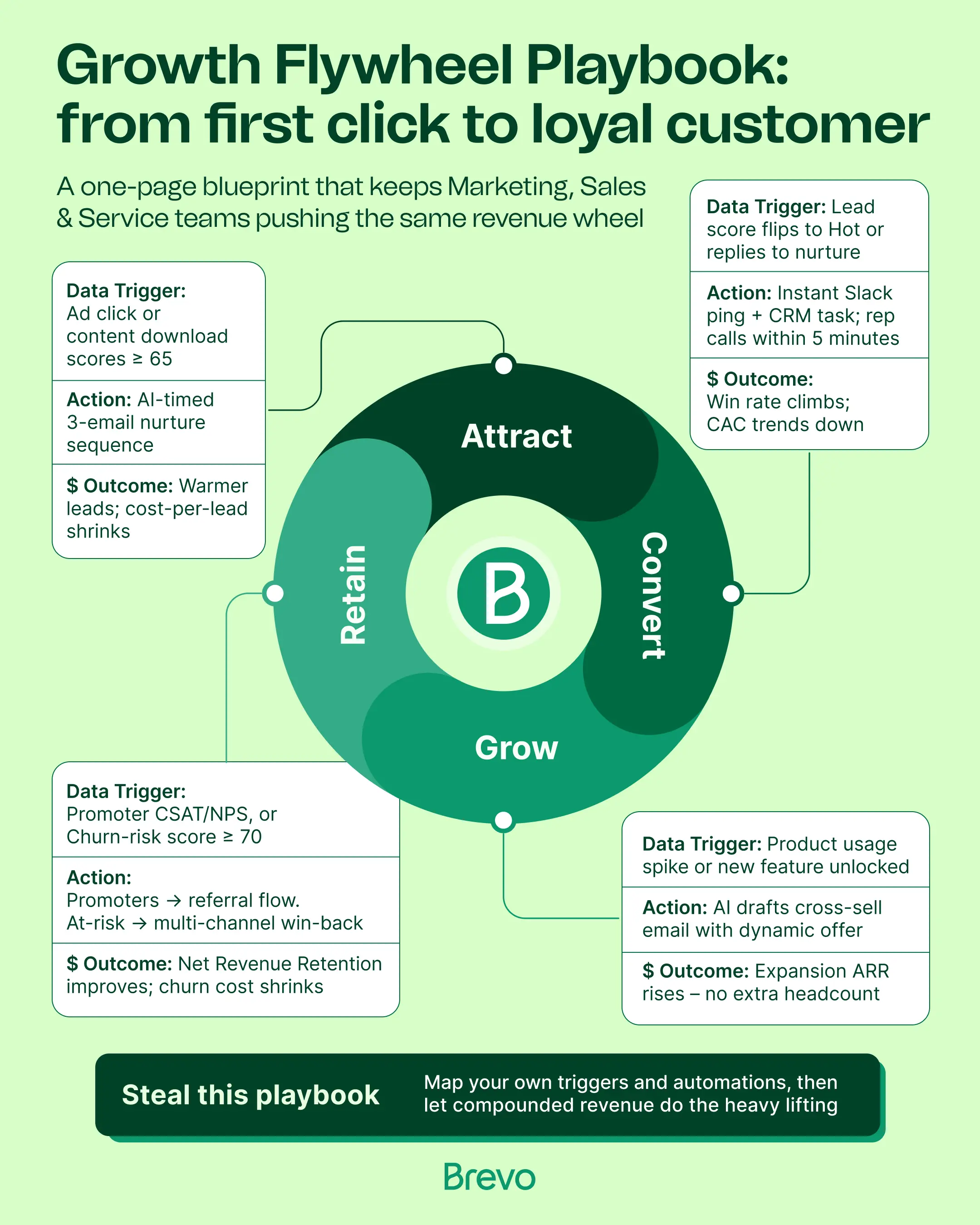 Infographic Showcase 