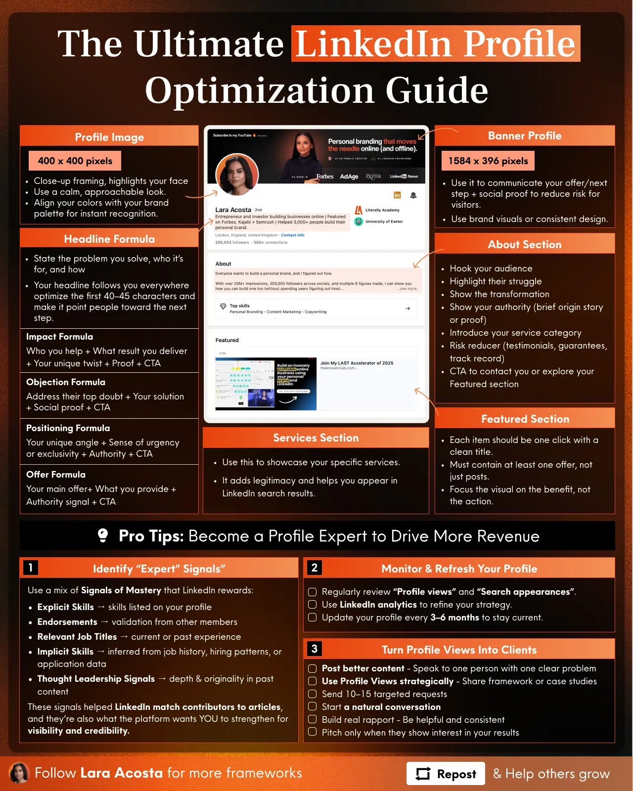 Infographic Showcase 