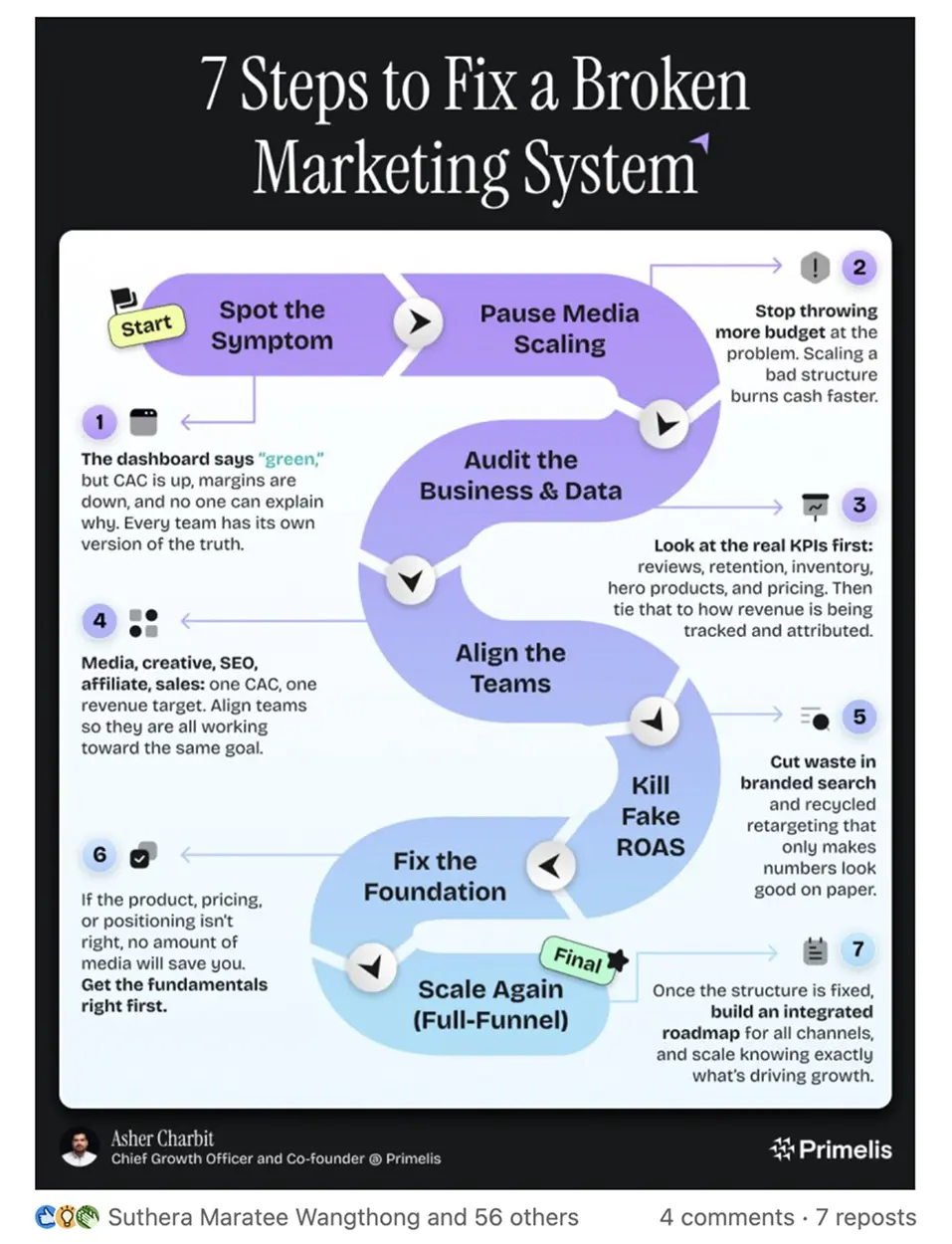 Showcase Infographic