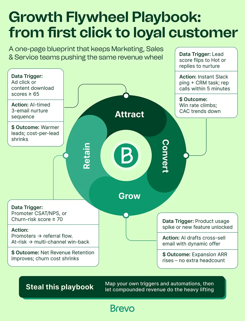 Showcase Infographic
