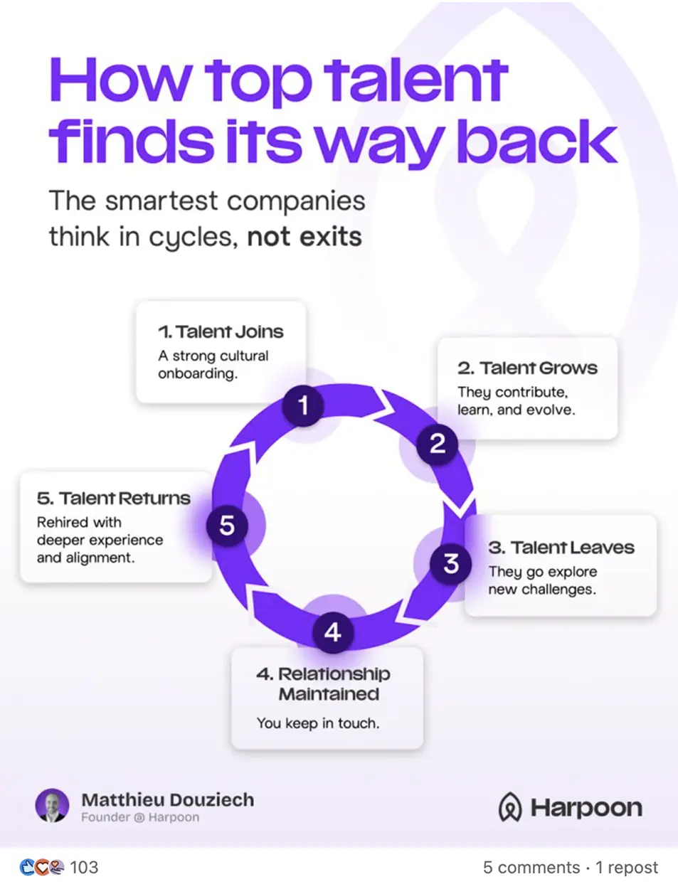 Showcase Infographic