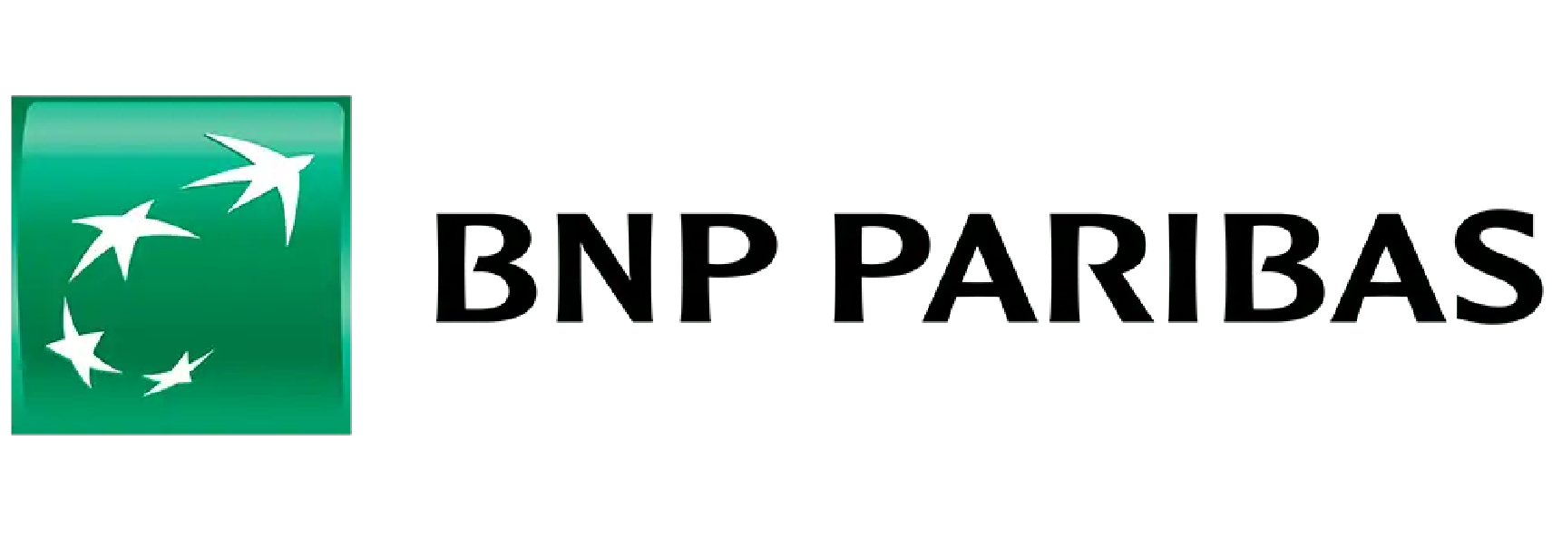 Logo de BNP Paribas, banque utilisant le logiciel de collecte et reporting ESG Toovalu