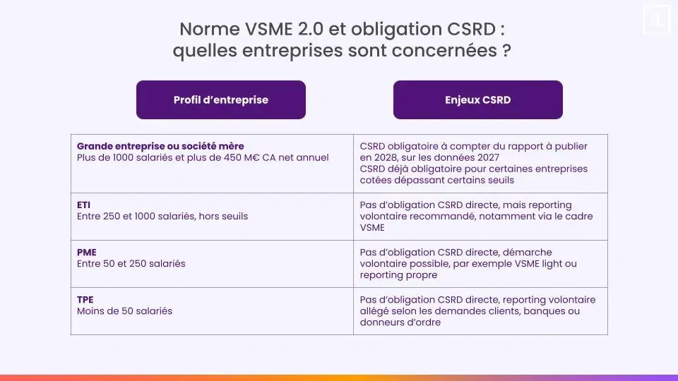 rapport extra-financier et norme VSME2.0 : tableau par profil 