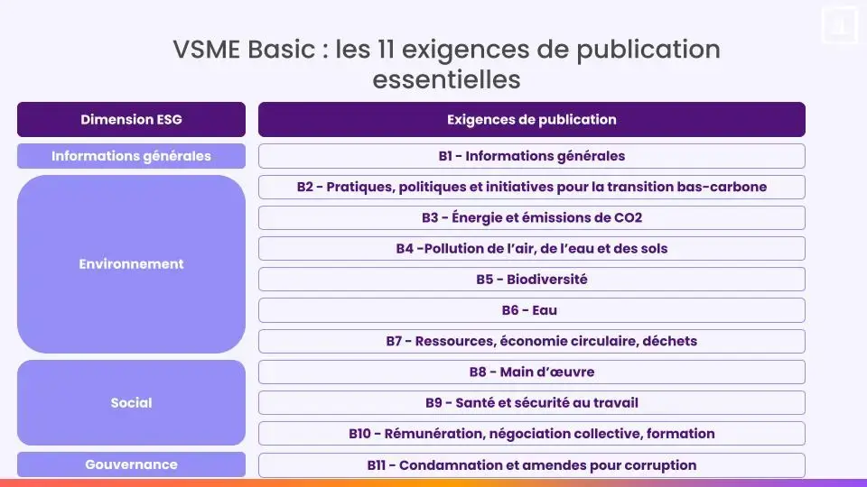 vsme basic 11 exigences de publication