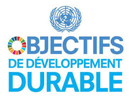 Logo Objectifs de développement durable ONU