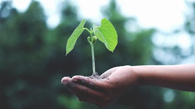 Label EcoVadis : classement, critères et processus d’évaluation