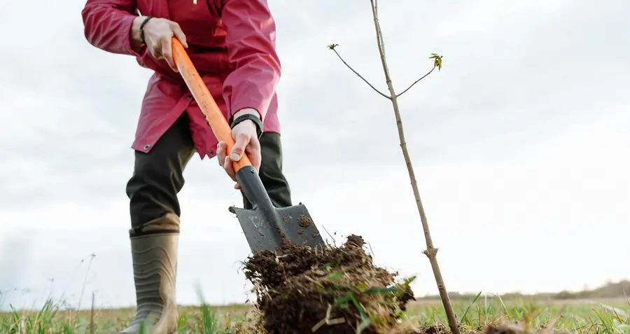 Crédits carbone : le guide complet pour les grandes entreprises et institutions financières”