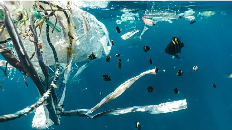 ESRS E3 : Définition eau & évolutions + nouveautés CSRD 2026