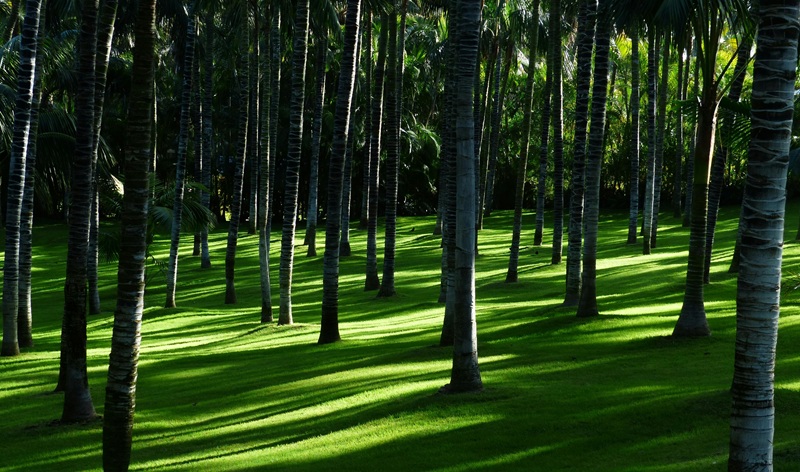 Taxonomie verte européenne : définition, critères et impacts pour les entreprises