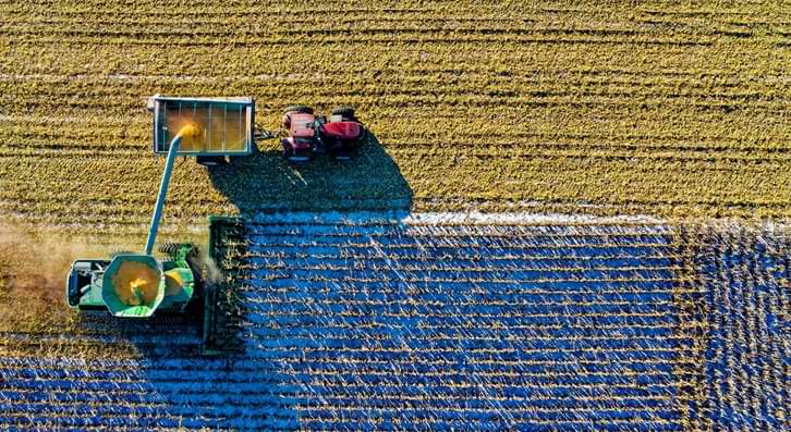 moisson d'un champ agricole