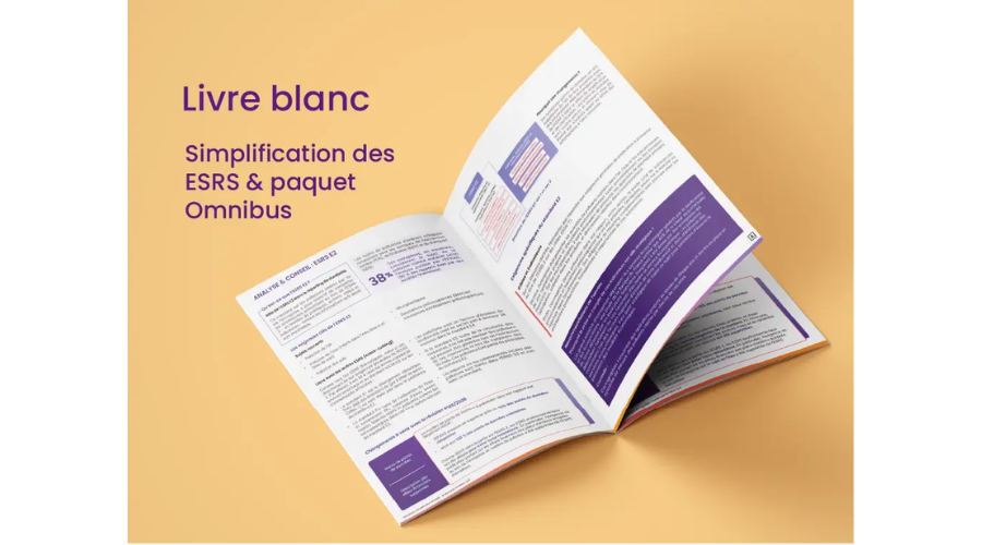 mockup livre blanc esrs