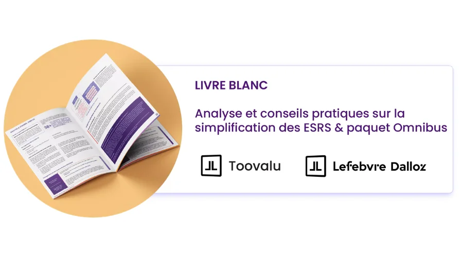 mockup livre blanc esrs