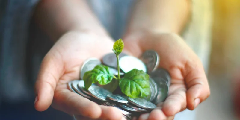 feuille qui pousse dans une poignée d'argent