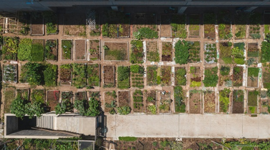 trajectoire aérienne sur des champs cultivés