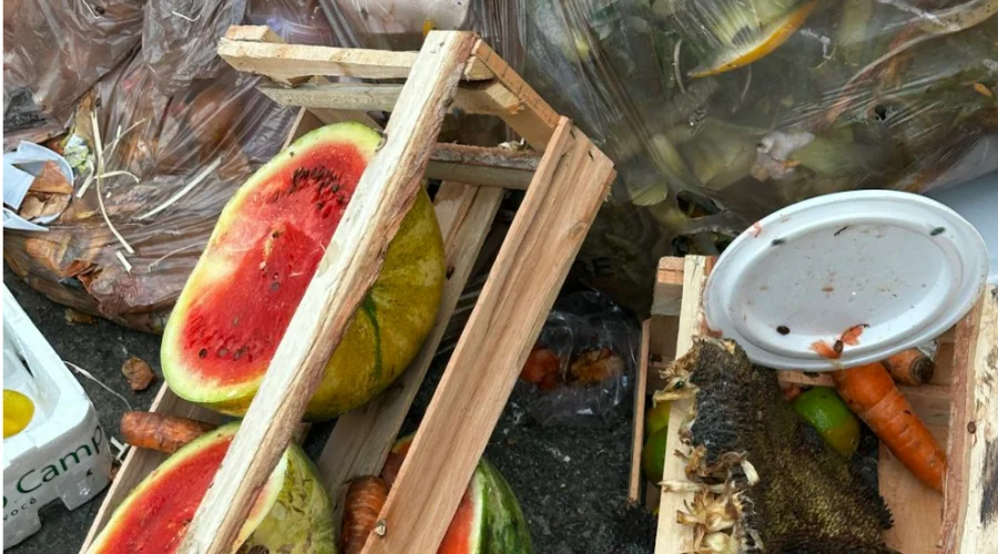 pastèques et déchets alimentaires mélangés jetés à l'extérieur
