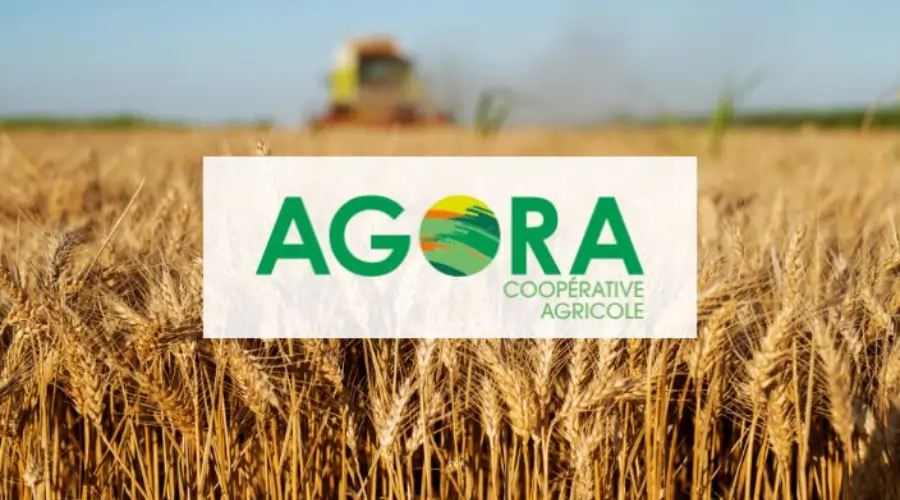 logo coopérative agora et champ de blé