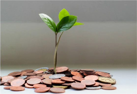 platforme esg pour finance et fonds d'investissements