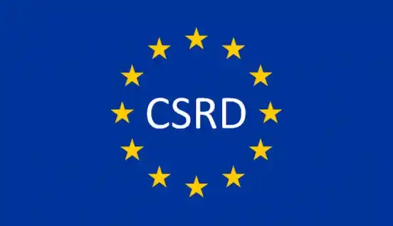 Rapport de durabilité CSRD : contenu, structure et exigences des ESRS