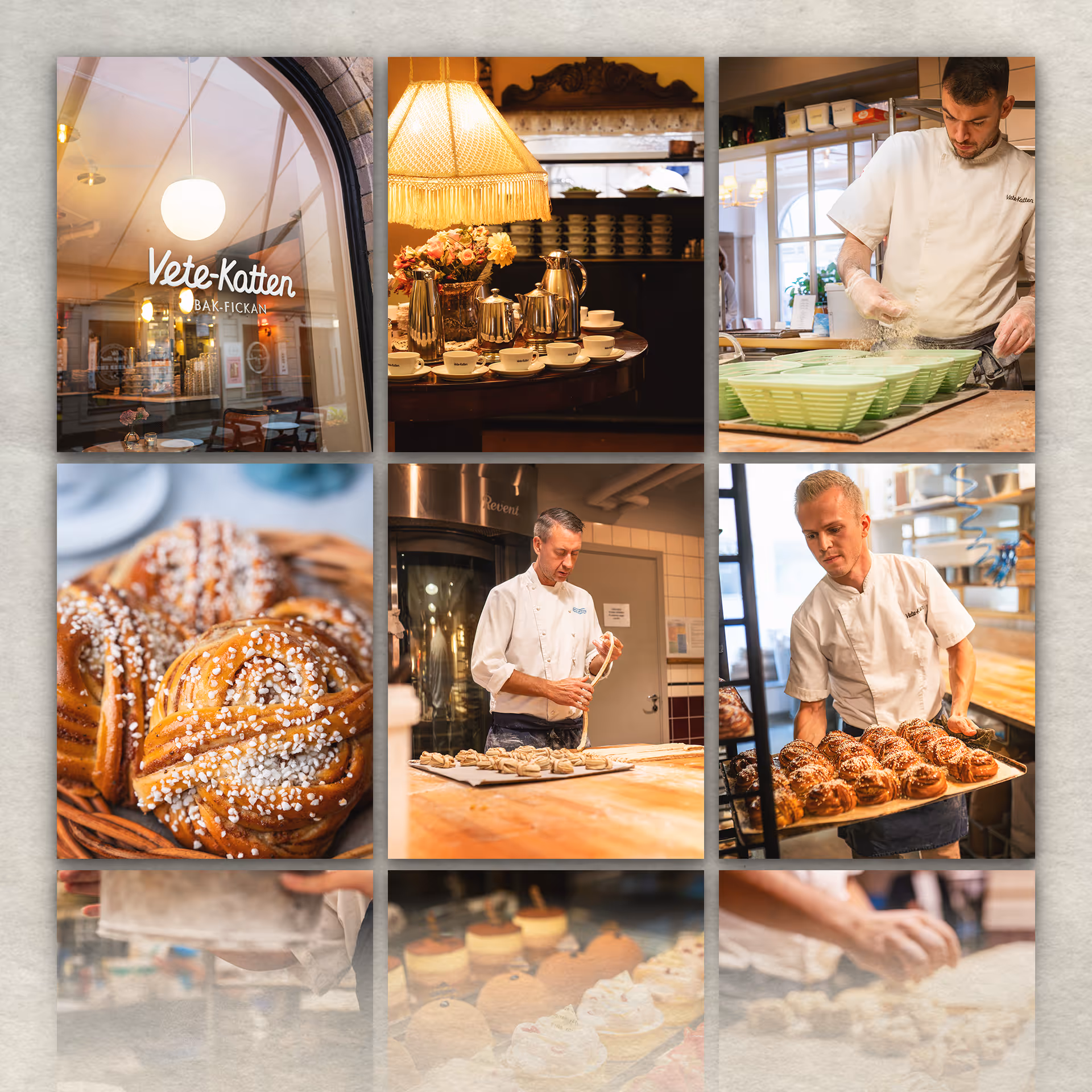 Grid of images from Vete-Katten