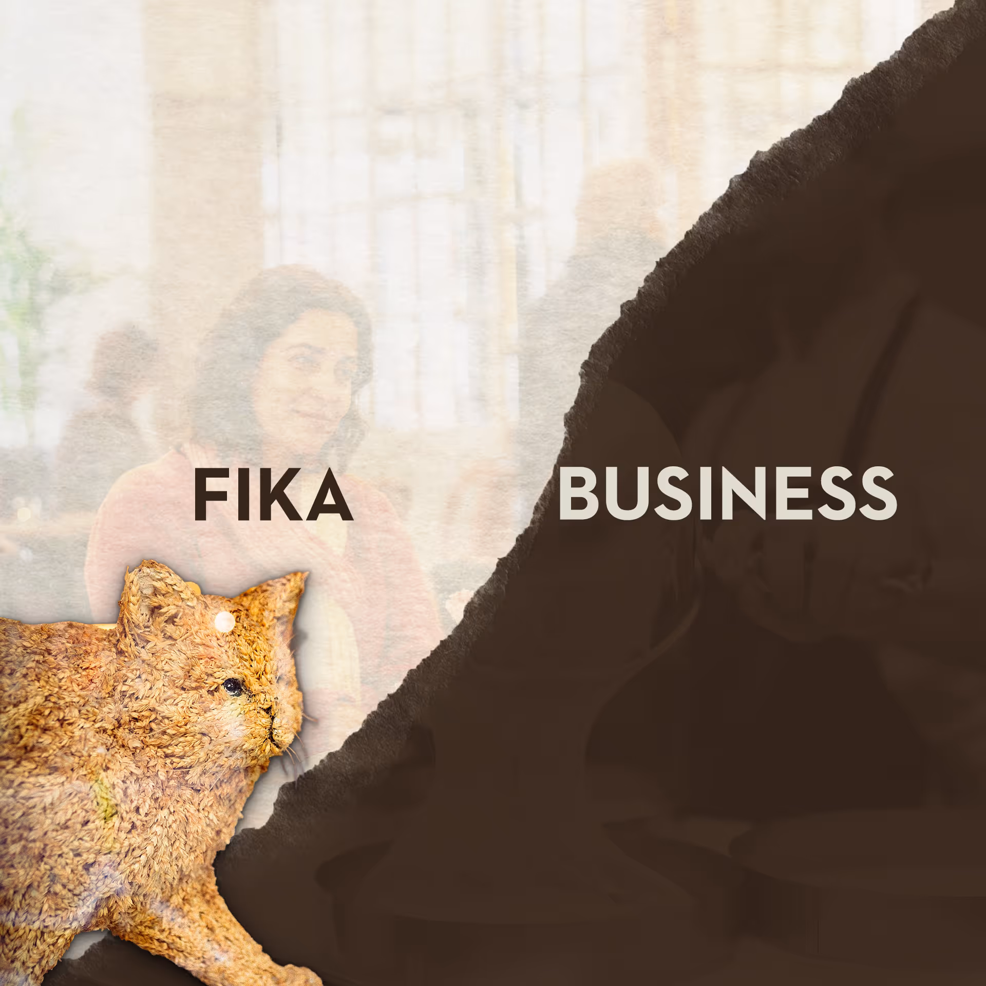 Graphic highlighting the considerations for Vete-Katten communications.