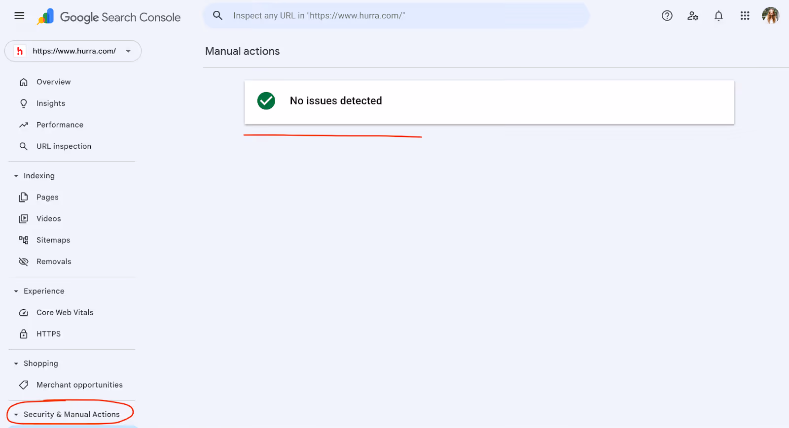 Der Google Penalty Check: Schritt-für-Schritt-Analyse