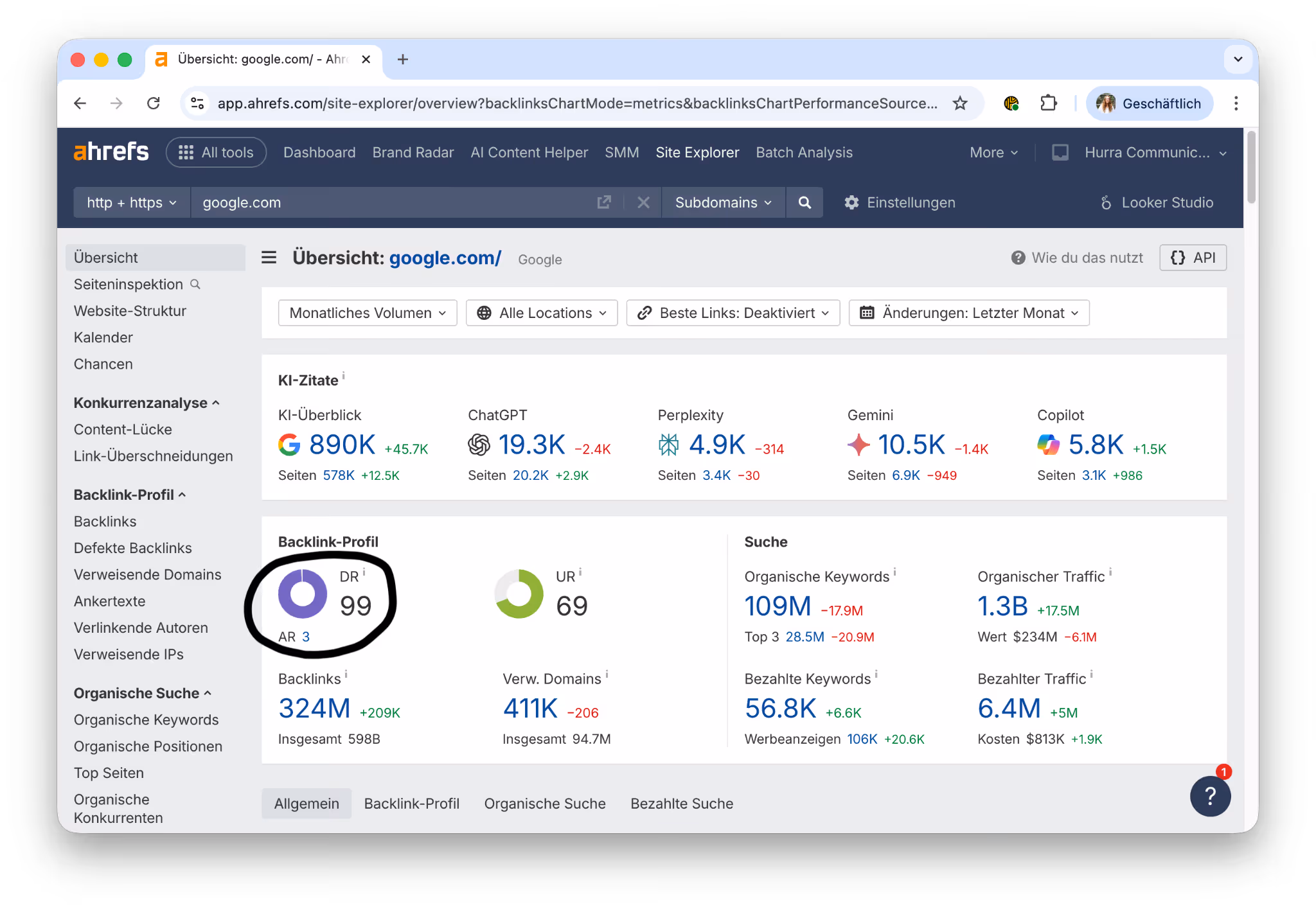 Ahrefs Domain Rating erklärt