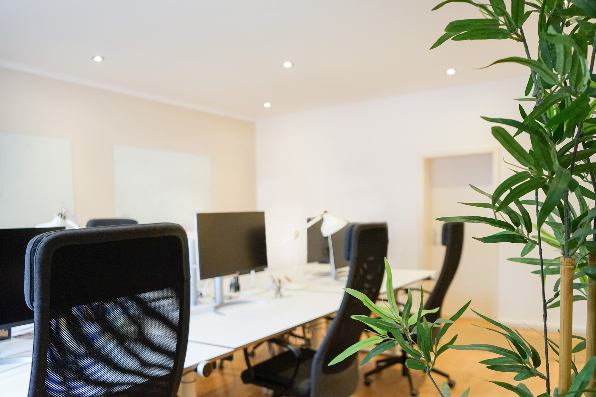 Helle Büroumgebung mit weißen Tischen, schwarzen Stühlen, Monitoren, Schreibtischlampen und grüner Pflanze.