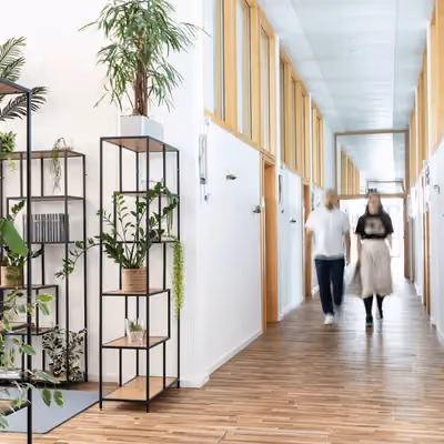 Lindenallee by Rivvers – Essen