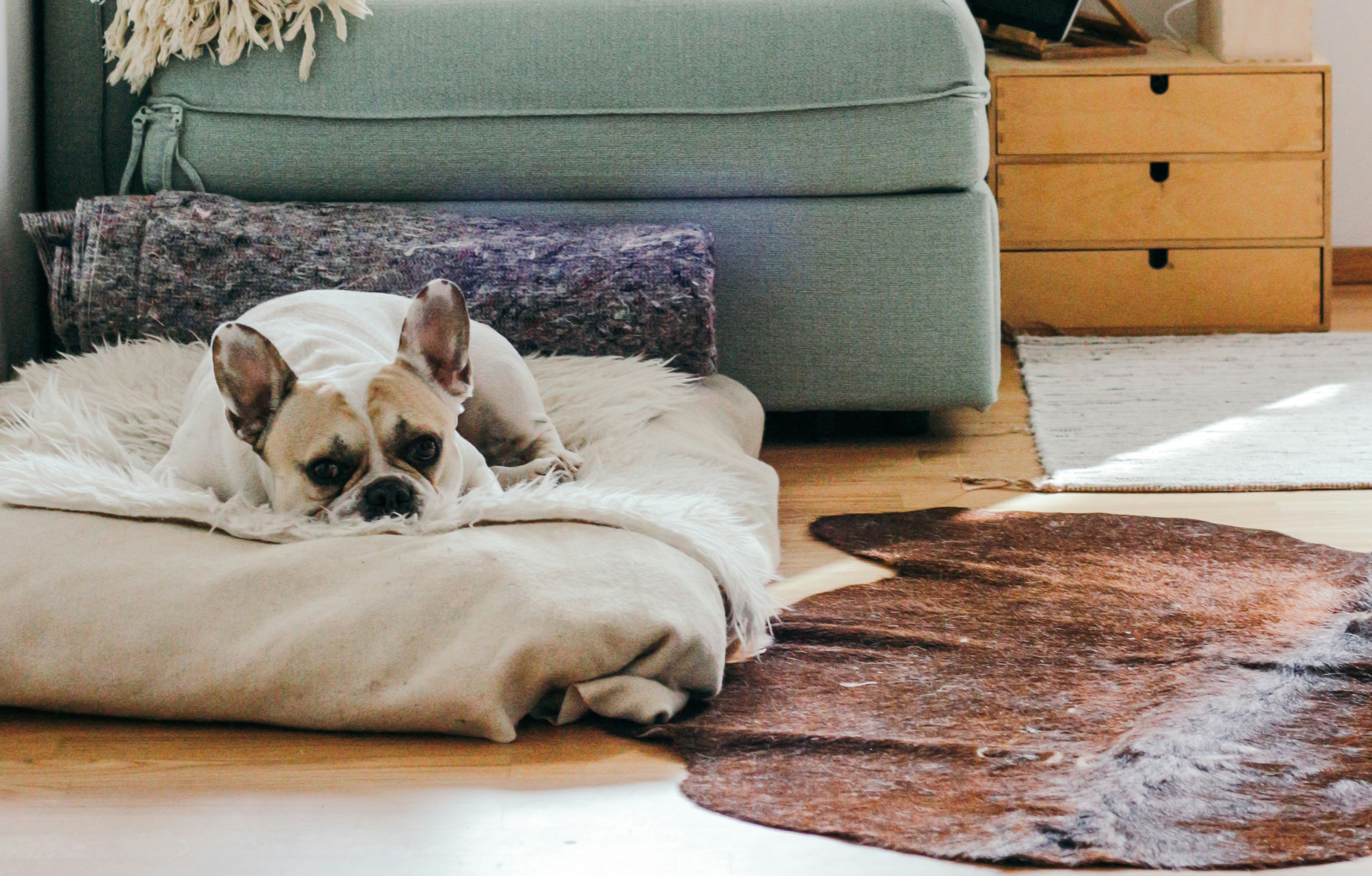 The benefits of leaving your boiler behind 