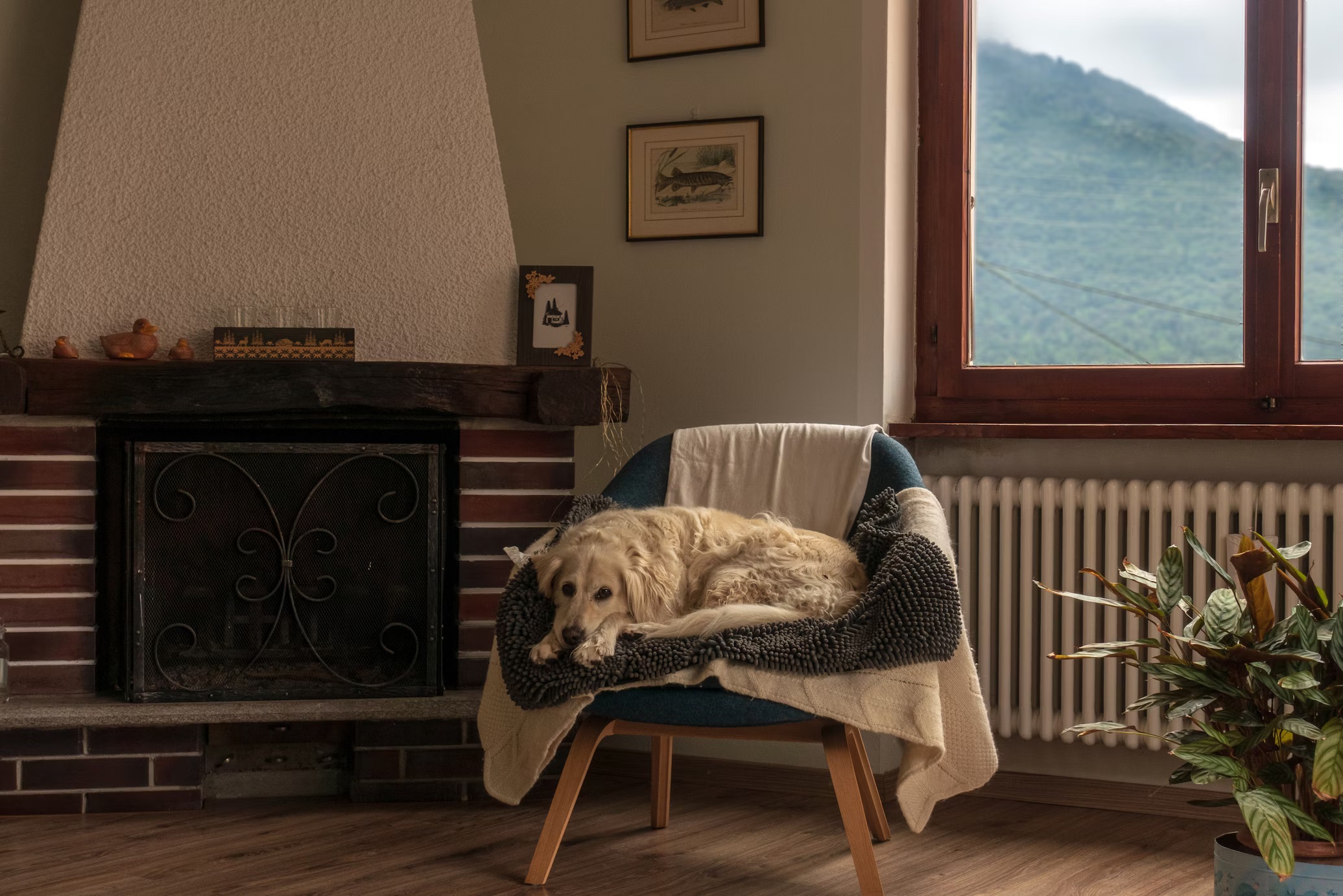 Ground source vs air source heat pumps - which one is right for you?