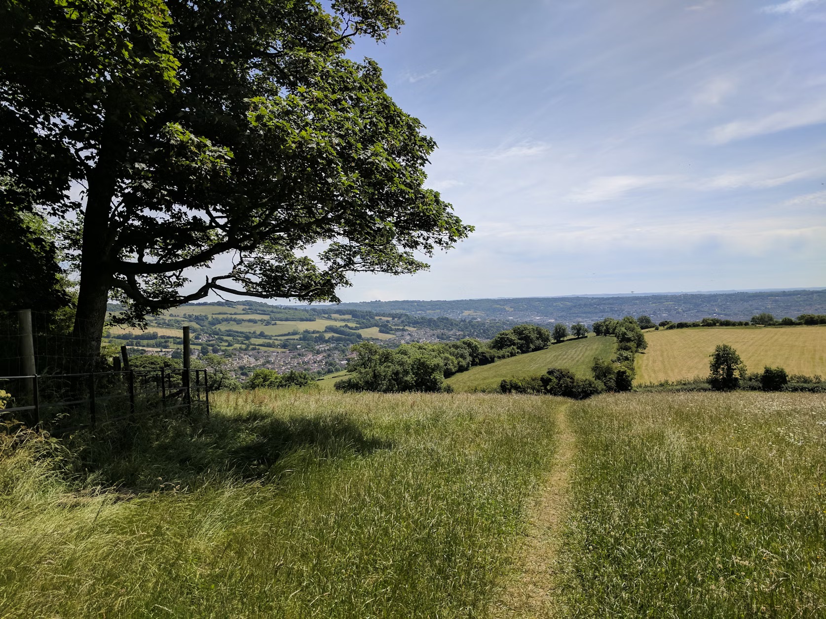 Thermly launches in Somerset