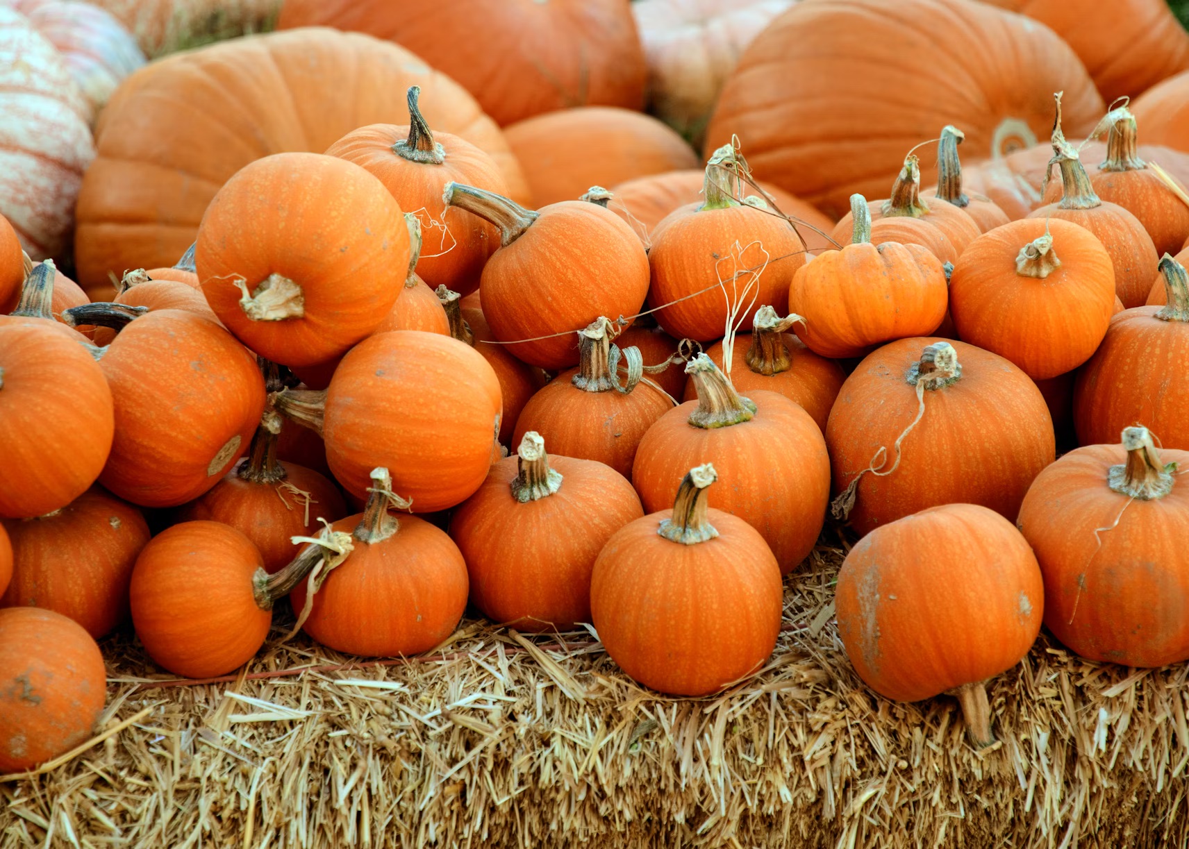 Our hopes for the Autumn Budget