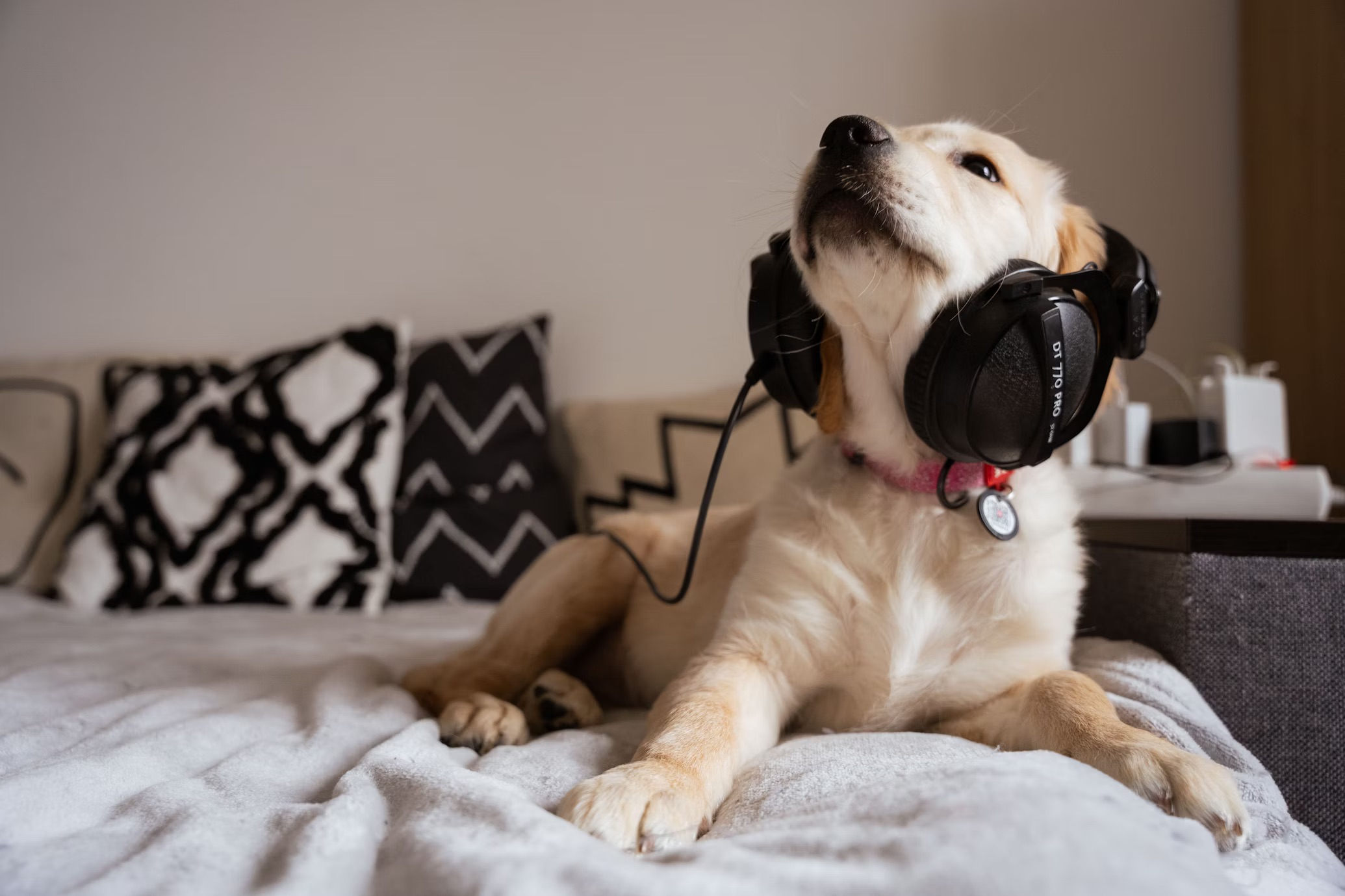 Are heat pumps noisy?
