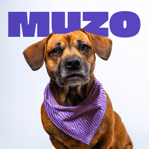 braaands_Muzo-CoverThumb_attaXXTD9GRj7aJPZ