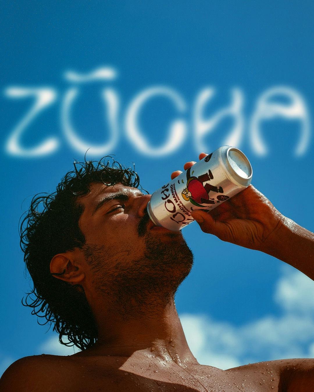ZŪCHA
