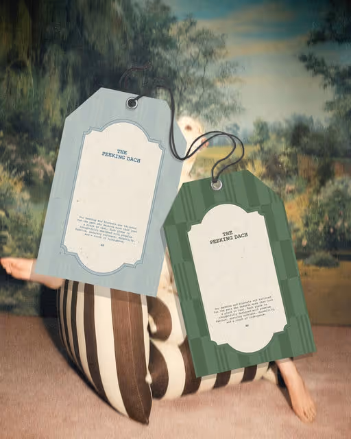 braaands_THE PEEKING DACH-05_Pet Branding