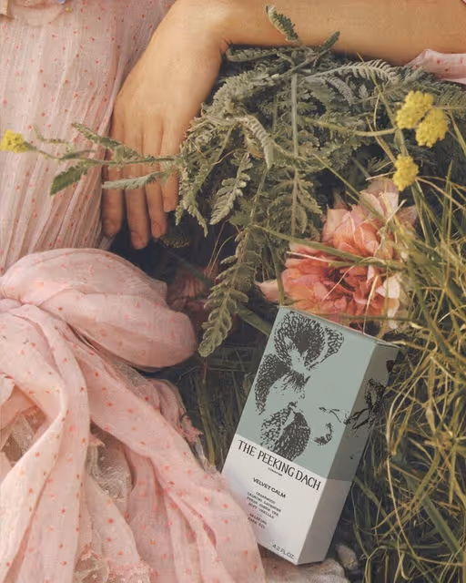 braaands_THE PEEKING DACH-03_Pet Branding