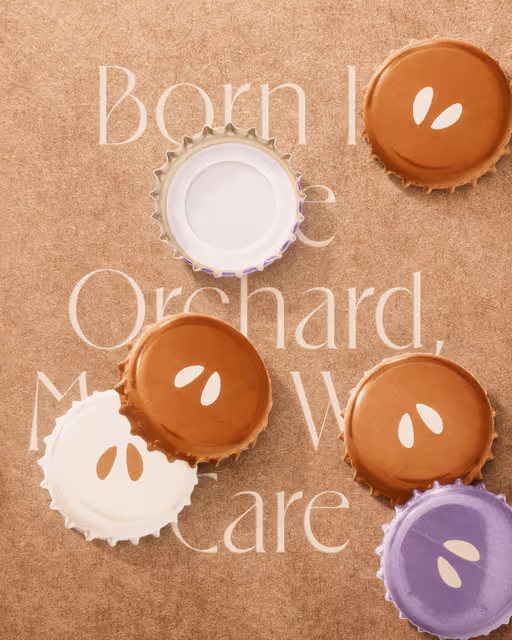 braaands_Wild Orchard Brew-Cider Branding-04