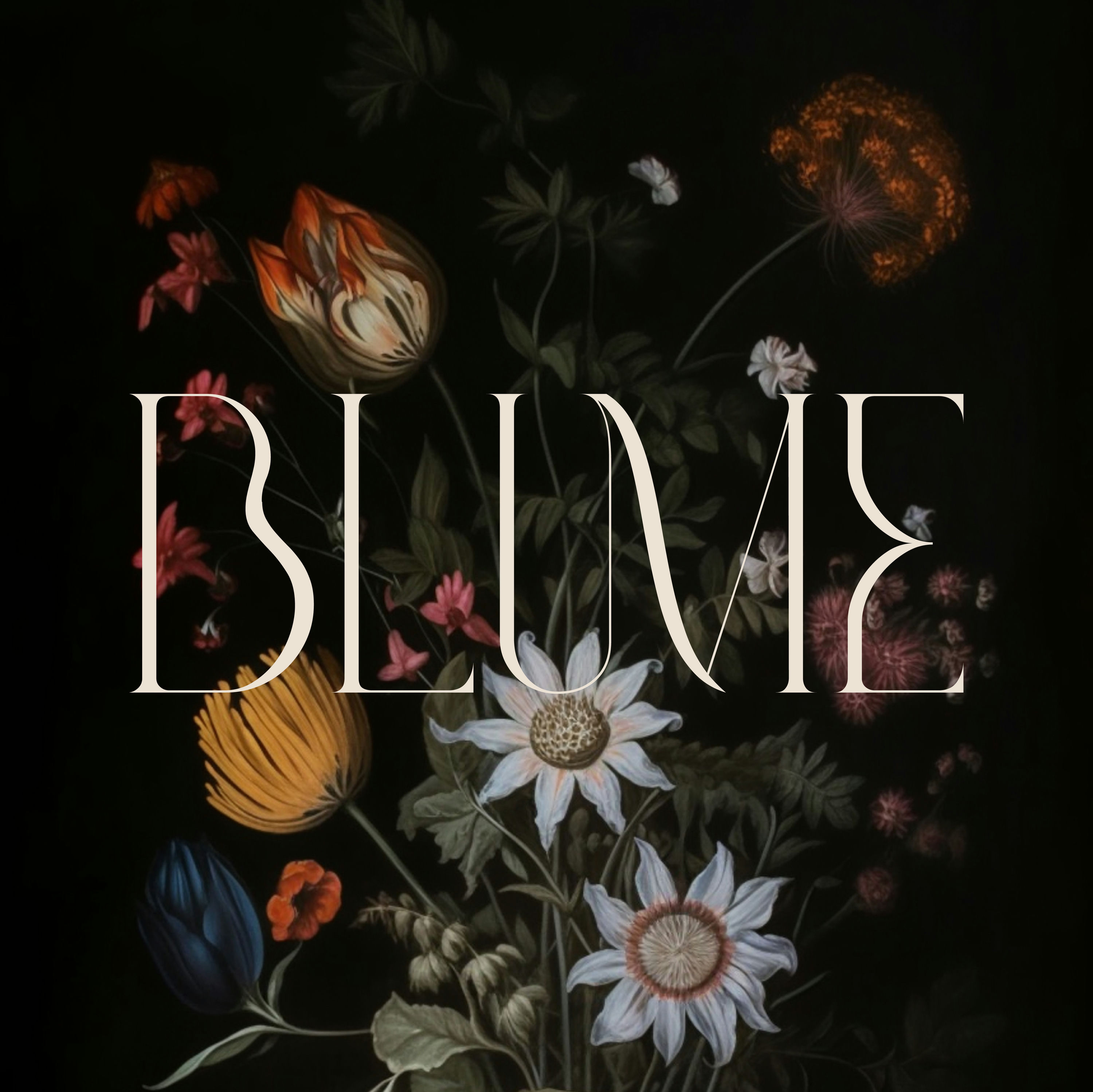 Brand Identity for Blume