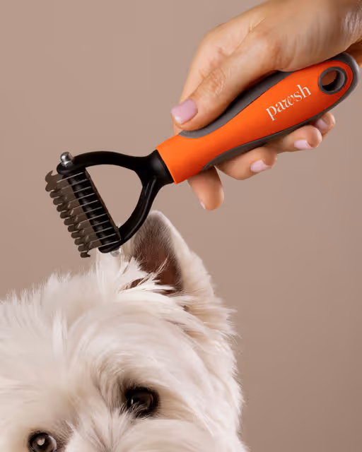 braaands_Pawsh-Pet Branding-08