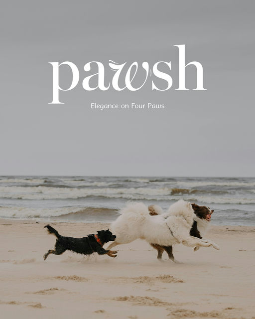 braaands_Pawsh-Pet Branding-t01