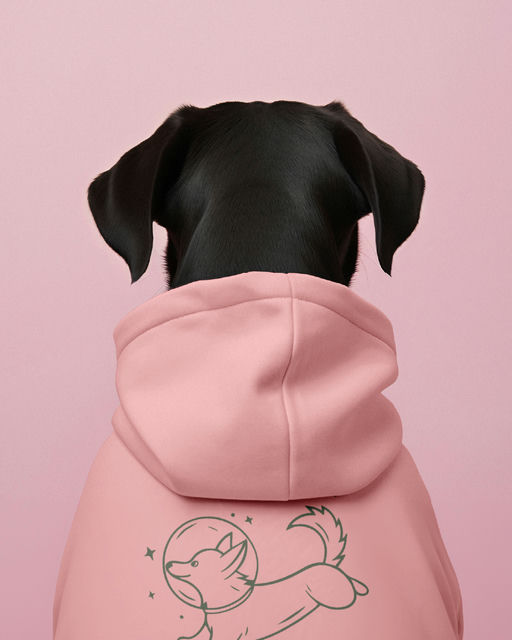 braaands_Pawsh-Pet Branding-06